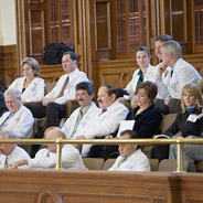 Docs in the gallery