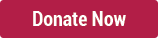Donate Now button Donate Now button