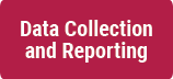 Data Collection and Reporting Button