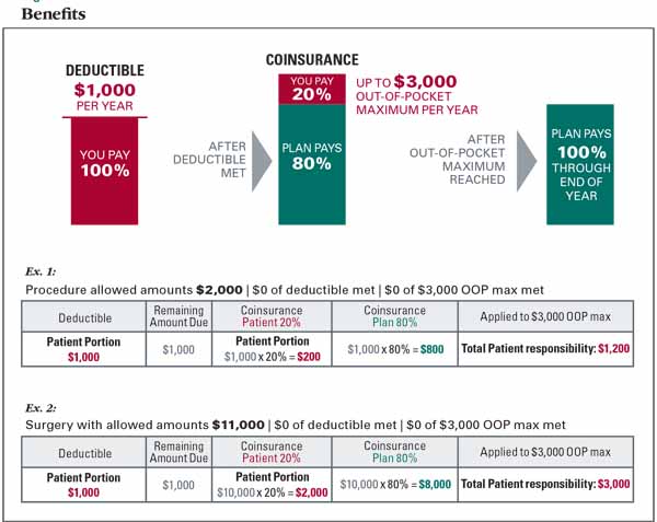 Insurance_Graphic Insurance_Graphic