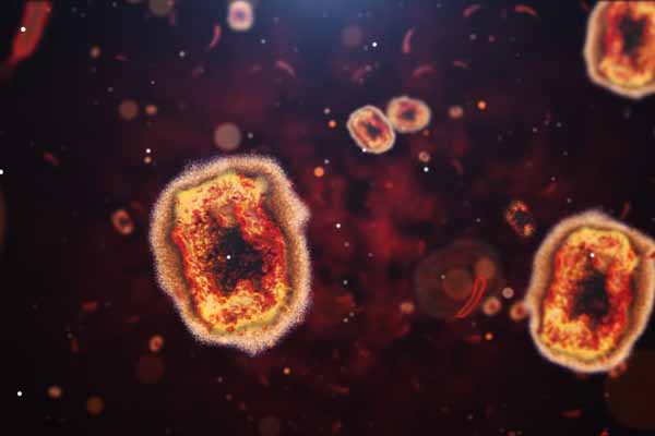Monkeypox_Cells Monkeypox_Cells